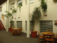 interior glass blocks for privacy
