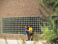 outside view of gymnasium windows using glass blocks