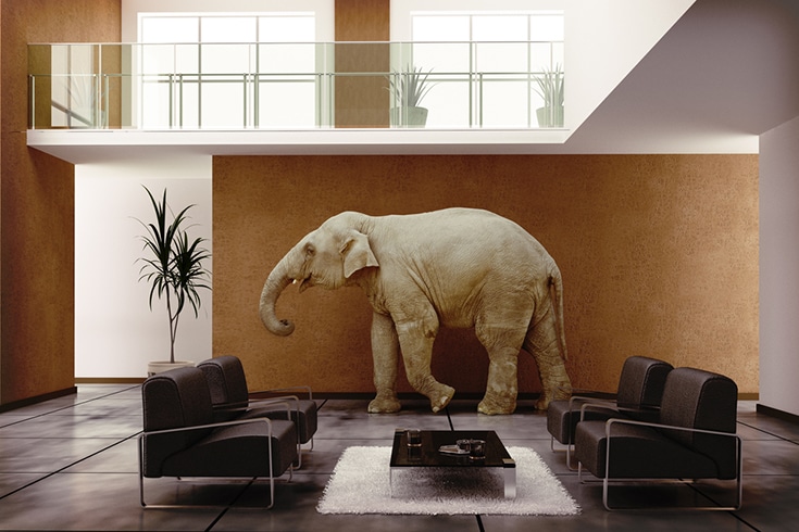 Elephant in the room | Innovate Building Solutions | Innovate Builders Blog | #elephant #Tileshower #BathroomWallpanels