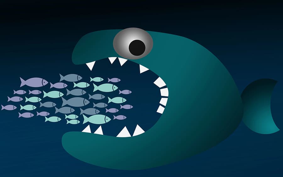 Reason 10 the big fish eating the small fish competition - Innovate Building Solutions, Walk In Shower Renovations, Bathroom Shower Remodeling, Custom Shower Product Suppliers, Bathroom Remodeling Dealers