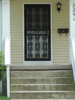 Steel Security Screen Storm Door Front Doors Cleveland