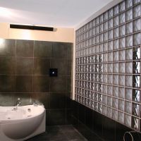 Bronze and frosted bronze glass block shower wall - Innovate Building Solutions 