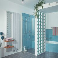 Gray colored glass block shower partition wall - Innovate Building Solutions 