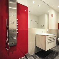 Red rouge shower wall panels in a modern bathroom 